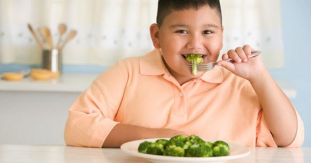 Lee más sobre el artículo Recetas Saludables Contra la Obesidad Infantil.